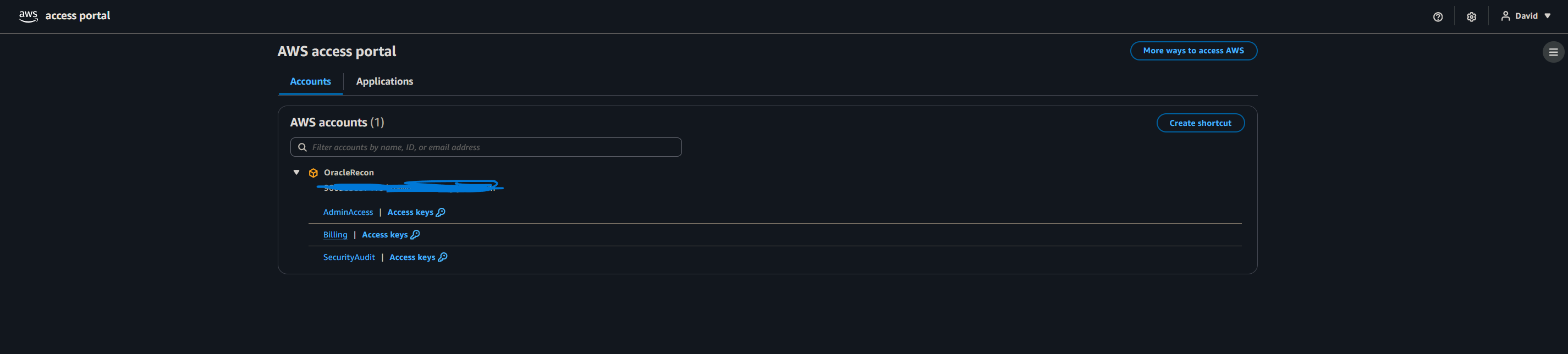 AWS SSO portal tiles showing available accounts for a user